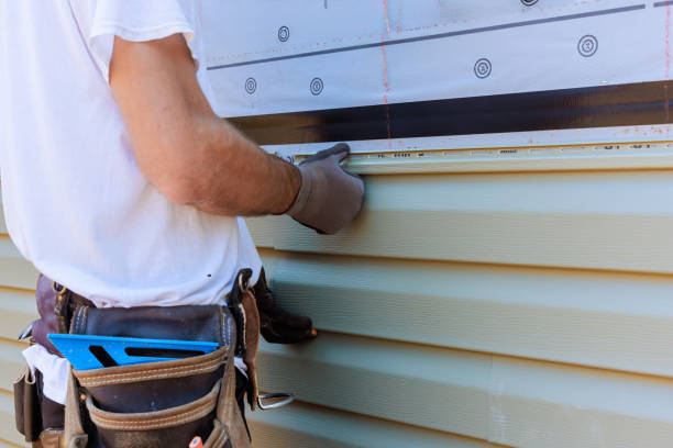 Affordable Siding Replacement solutions in Ripley, TN